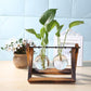 Glass Propagation Vase With A-Frame Wooden Stand