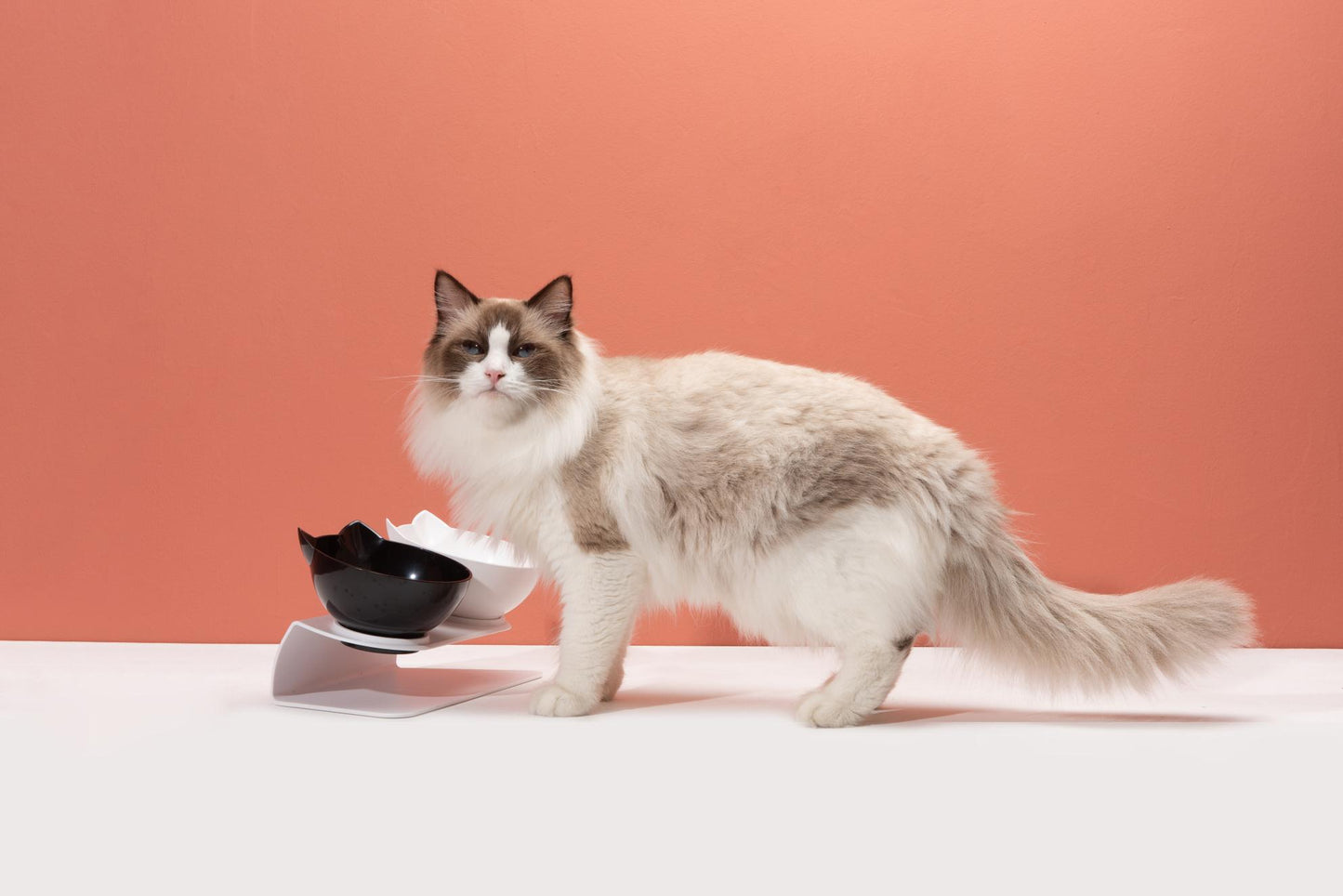 Anti-Vomiting Orthopedic Cat Bowl